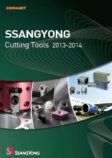 SSANG YONG SSANG YONG